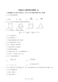 2024版青岛版七年级上册数学期末真题卷（5）含答案