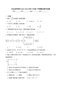 河北省邯郸市2023-2024学年八年级下学期期末测试数学试卷(含解析)