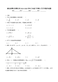 湖北省黄石市2024-2025学年八年级下学期3月月考数学试卷(含答案)