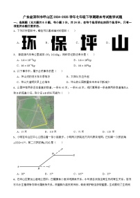 广东省深圳市坪山区2024-2025学年七年级下学期期末考试数学试题