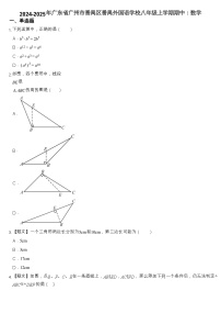 2024-2025学年广东省广州市番禺区番禺外国语学校八年级上学期数学期中考试