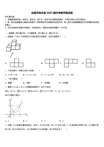 汕尾市海丰县2025届中考数学模试卷含解析