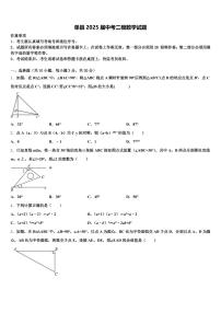 单县2025届中考二模数学试题含解析