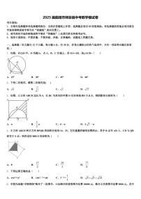 2025届曲靖市师宗县中考数学模试卷含解析