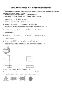 黑龙江省七台河市勃利县2025年中考数学最后冲刺模拟试卷含解析