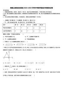 西藏山南地区加查县2024-2025学年中考数学最后冲刺模拟试卷含解析