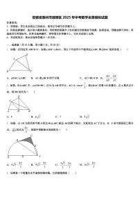 安徽省滁州市琅琊区2025年中考数学全真模拟试题含解析