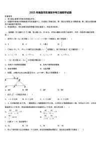 2025年南昌市东湖区中考三模数学试题含解析