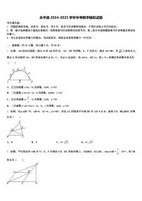 永平县2024-2025学年中考数学模拟试题含解析