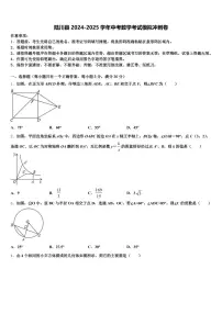 陆川县2024-2025学年中考数学考试模拟冲刺卷含解析