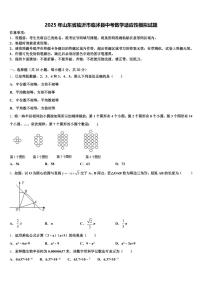 2025年山东省临沂市临沭县中考数学适应性模拟试题含解析