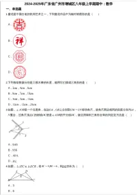 2024-2025学年广东省广州市增城区八年级上学期数学期中考试（含答案）