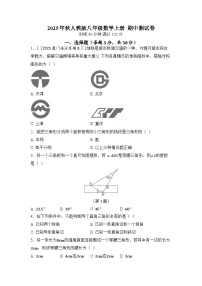 2025年秋人教版八年级数学上册 期中测试卷