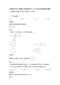 河南省平顶山市鲁山县四校联考2025年中考三模数学试卷（解析版）