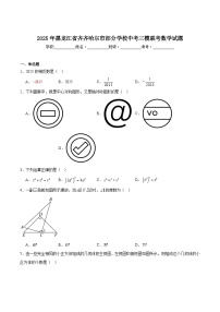 黑龙江省齐齐哈尔市部分学校2025届九年级下学期中考三模数学试卷(含解析)