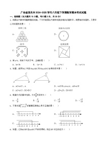 广东省茂名市2024-2025学年八年级下学期数学期末考试试题