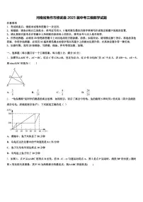 河南省焦作市修武县2025届中考三模数学试题含解析
