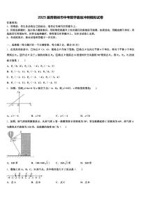 2025届青铜峡市中考数学最后冲刺模拟试卷含解析