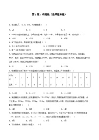 2024版人教版七年级上册数学期末专项练习第1章：有理数（选择题专练）（原卷版）