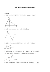 2024版人教版班级上册期末专项练习第12章：全等三角形（填空题专练）（原卷版）八年级数学人教版
