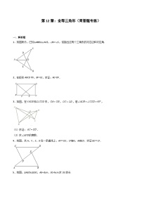2024版人教版班级上册期末专项练习第12章：全等三角形（简答题专练）（原卷版）八年级数学人教版