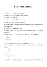 2024版人教版九年级上册期末专项练习第22章：二次函数（填空题专练）（原卷版）九年级数学人教版
