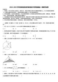 2024-2025学年安徽省芜湖市新芜区中考考前最后一卷数学试卷含解析