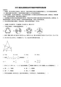 2025届凉山彝族自治州宁南县中考数学仿真试卷含解析