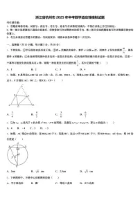 浙江省杭州市2025年中考数学适应性模拟试题含解析