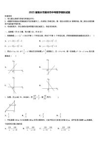 2025届衡水市冀州市中考数学模拟试题含解析