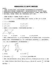 那曲地区尼玛县2025届中考二模数学试题含解析