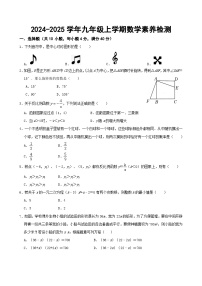 安徽省淮南市凤台县部分学校2024-2025学年九年级上学期12月月考数学试卷