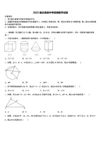 2025届永善县中考四模数学试题含解析