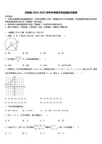浮梁县2024-2025学年中考数学考试模拟冲刺卷含解析