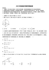 2025年双峰县中考数学押题试卷含解析
