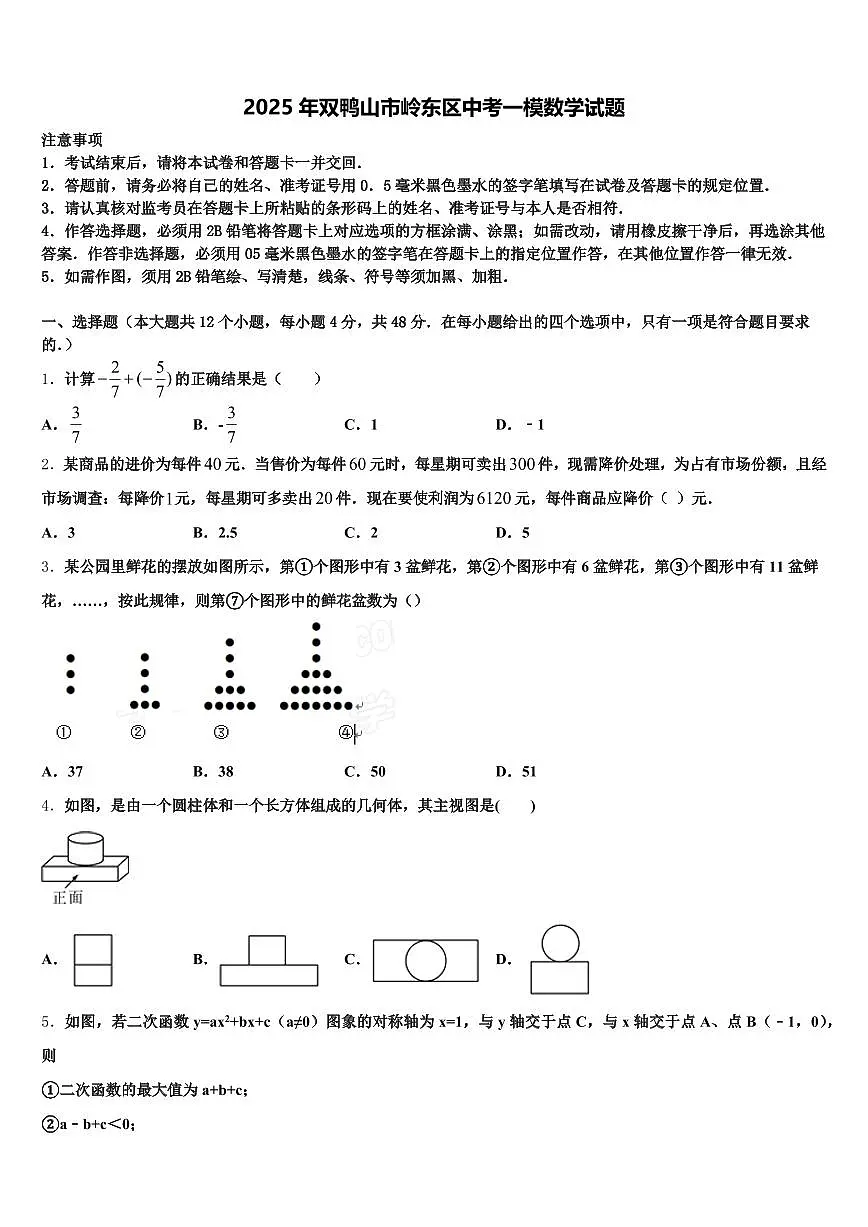 2025年双鸭山市岭东区中考一模数学试题含解析第1页