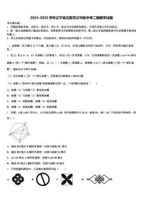 2024-2025学年辽宁省沈阳市辽中区中考二模数学试题含解析