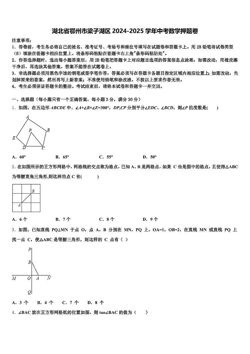 湖北省鄂州市梁子湖区2024-2025学年中考数学押题卷含解析第1页