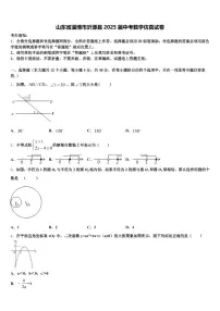 山东省淄博市沂源县2025届中考数学仿真试卷含解析
