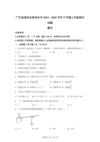 2024~2025学年广东省深圳市深圳中学下学期七年级期末数学试卷