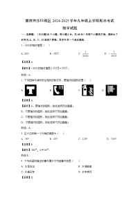 重庆市沙坪坝区2024-2025学年九年级上学期期末考试数学试卷(解析版)