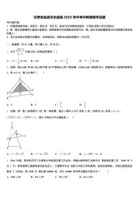 甘肃省金昌市永昌县2025年中考冲刺卷数学试题含解析