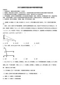 2025届潍坊市昌乐县中考联考数学试题含解析
