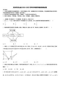 钦州市灵山县2024-2025学年中考数学模拟预测试卷含解析
