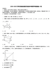 2024-2025学年河南省信阳市息县中考数学考前最后一卷含解析