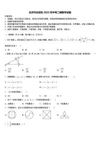 云浮市云安区2025年中考二模数学试题含解析
