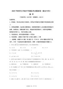 2025年九年级秋季开学摸底考数学检测试卷（湖北专用）
