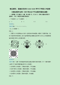 【数学】福建省龙岩市2024-2025学年下学期九年级期末测试数学试卷（(解析版)