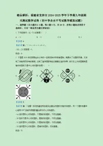 【数学】福建省龙岩市2024-2025学年下学期九年级期末测试数学试卷((解析版)