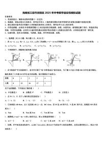 海南省三亚市吉阳区2025年中考数学适应性模拟试题含解析